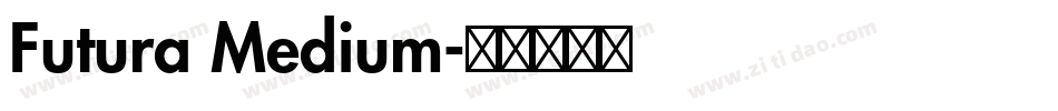 Futura Medium字体转换